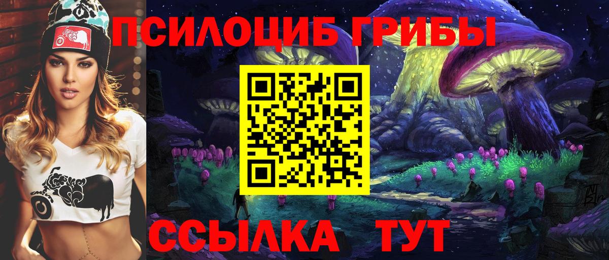 Псилоцибиновые грибы прущие грибы Торжок