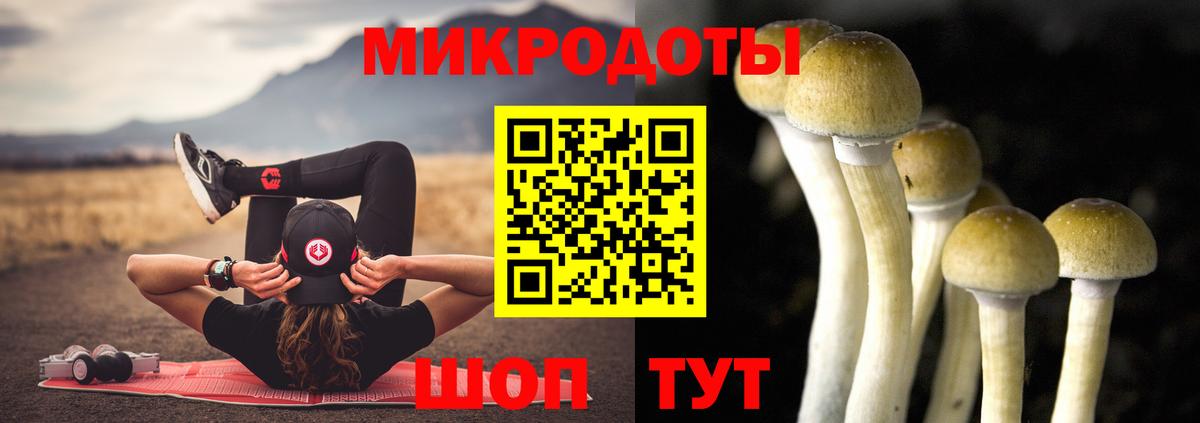 Галлюциногенные грибы MAGIC MUSHROOMS  Вход с VPN  Торжок 